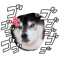 sasuke_20260612183730