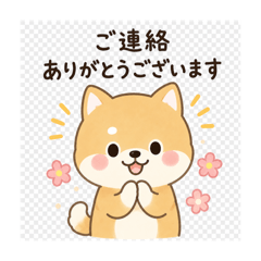 yukimell_20260612184227