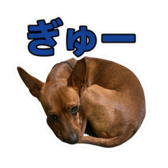 aki_20260612183939