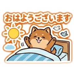 chiwawan_20260612185123