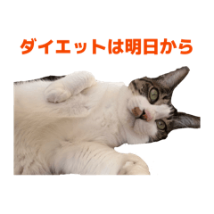 suzuna_20260612185946