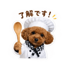 shizuka_20260612185926