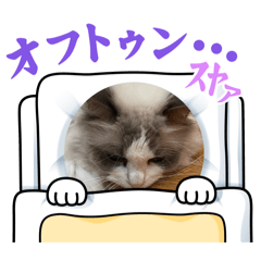 RUI_20260612191544