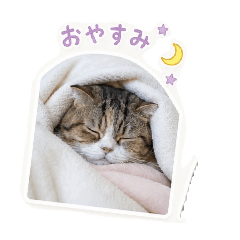 hatsumi_20260612191617