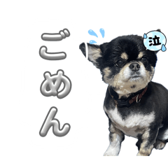 おおきなこ