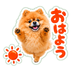 pottsu_20260612193624