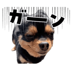 Y_20260612194256