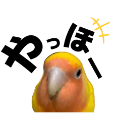 Hinarun_20260612195513