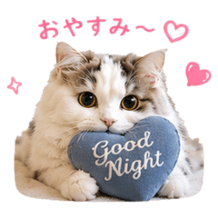 grin grin grin_20260612193745