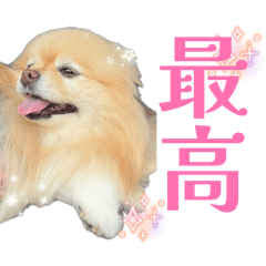 haku_20260612195302
