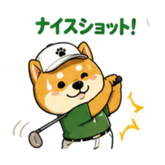 MEGPANDA_20260612195224
