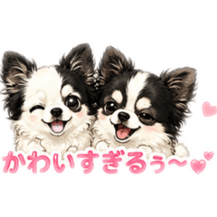 kaochin_20260612200258