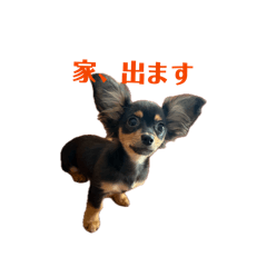 M,Y_20260612200103