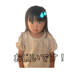 hashi_20260612200603