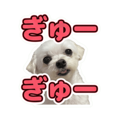 yumeko_20260612201022