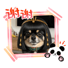 Yuri_20260612201316