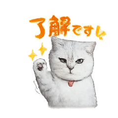 bobu_20260612201558