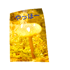 DCM_20260612201740