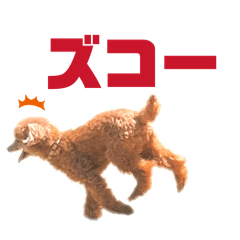 haburashi_20260612200731