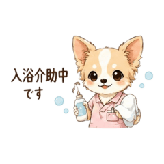 amesan4_20260612202227