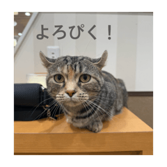 yukina_20260612202313