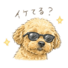 chisu_20260612202046