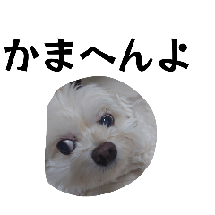 0123_20260612202821