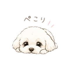 buri_20260612202923