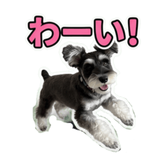 a.yy
