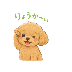 mofmof_20260612152259