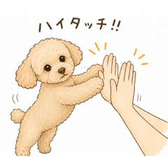 mayumayu_20260612203652