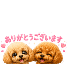 mya_20260612210058