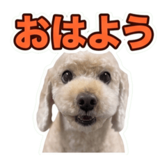 Taniyama_20260612214026