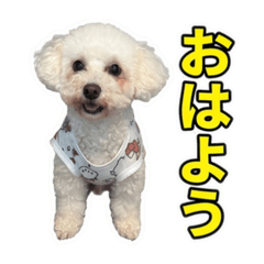 miki_20260612214730