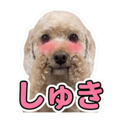 Taniyama_20260612215048