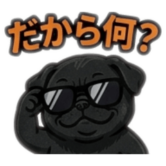 sng9689_20260612214602