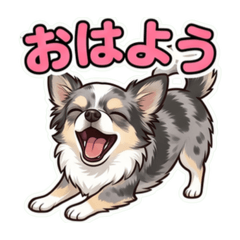 KATOTETSU_20260613004809
