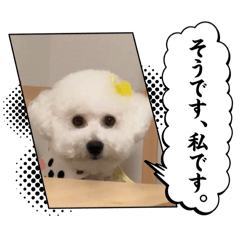 aichan_20260613004503