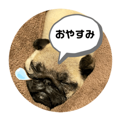 jyori_20260613004442