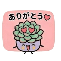 yurakko101_20260613005036