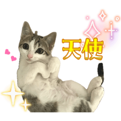 nanana_20260613011146