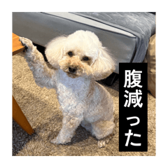 kou44_20260613013813