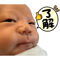 puripuri3_20260613010941