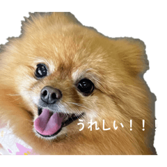 pomelala