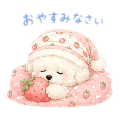 ranan_20260613012446