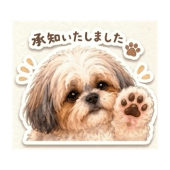 yukapi_20260613020434