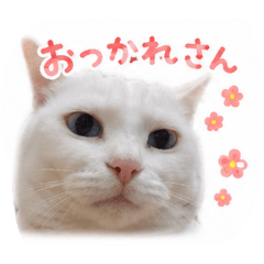 PORONYUKI_2