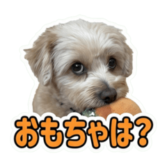 daichi_20260613063156