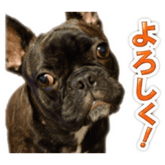 izu_20260614100020