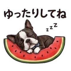 Shiora_20260610174243